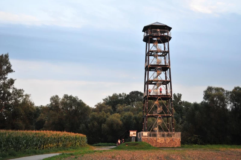 Graniczne Meandry Odry i wieża widokowa w Chałupkach